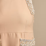 Crystal & Pearl Embellished Dress