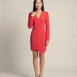Long Sleeve Mini Dress